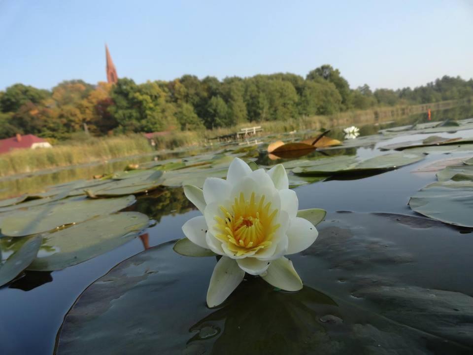 Agroturystyka Chycina Buitenkant foto